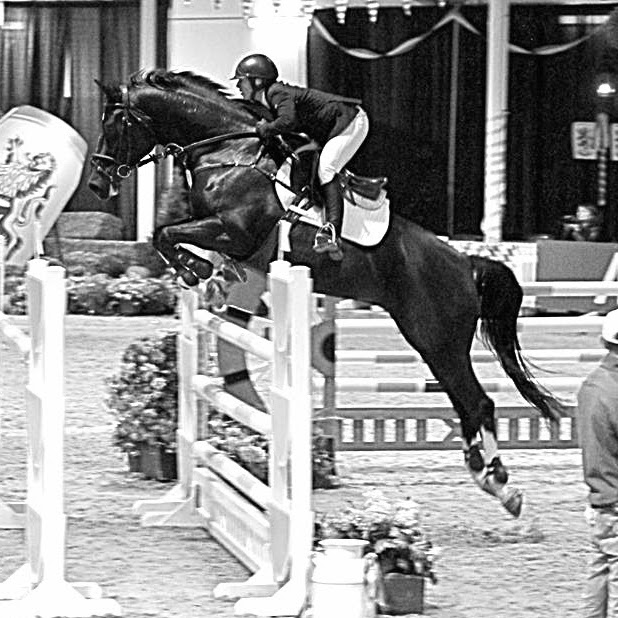 NewView Stables | 272159 AB-22, Rocky View No. 44, AB T4C 1A1, Canada | Phone: (250) 415-5650
