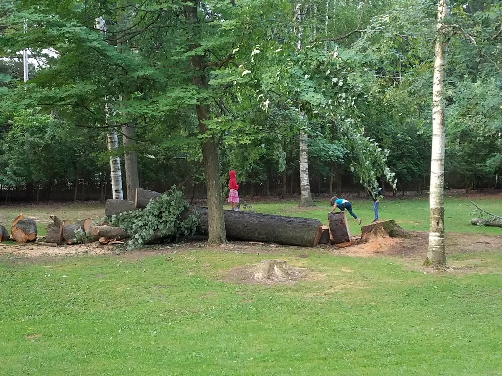 Sanilac County Lexington Park | 3885 Lakeshore Rd, Lexington, MI 48450, USA | Phone: (810) 359-7473
