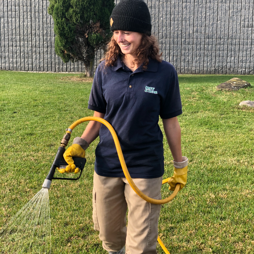 Spray Green - Traitement de pelouse et extermination | 111 Rue Industrielle, Delson, QC J5B 1V9, Canada | Phone: (450) 845-3434