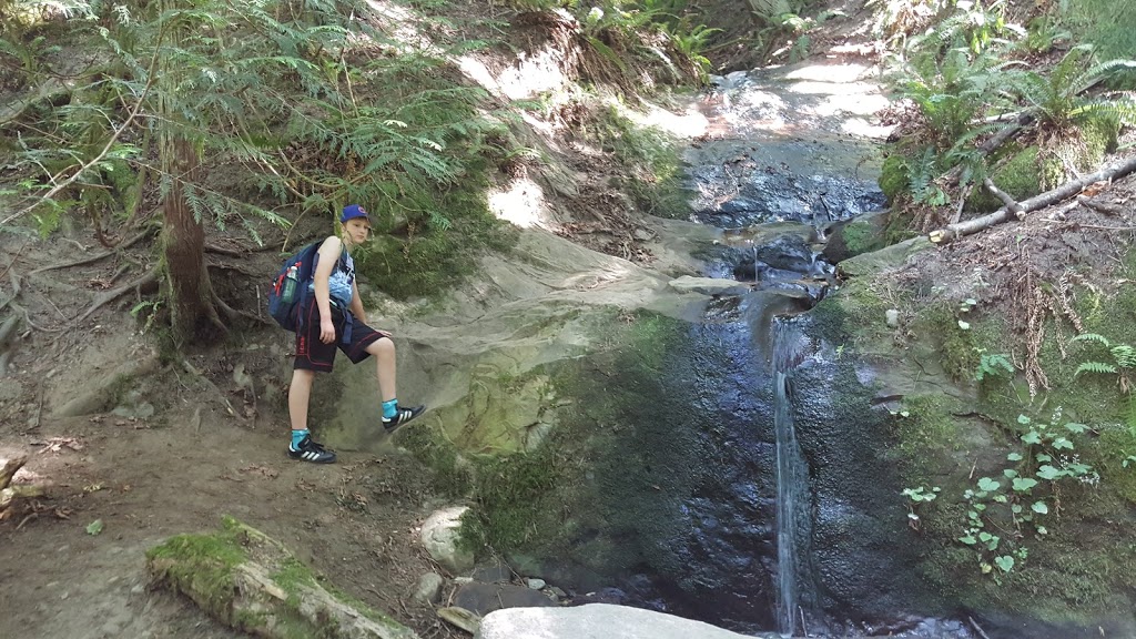 North Chuckanut Mountain Trailhead | 1467 Chuckanut Dr, Bellingham, WA 98229, USA | Phone: (360) 778-5850