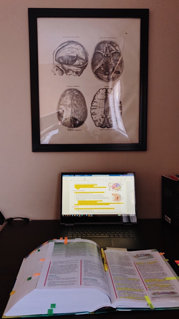 Paper Plane Tutoring | Nolan Hill Rise, Calgary, AB T3R 1X1, Canada | Phone: (780) 531-2968