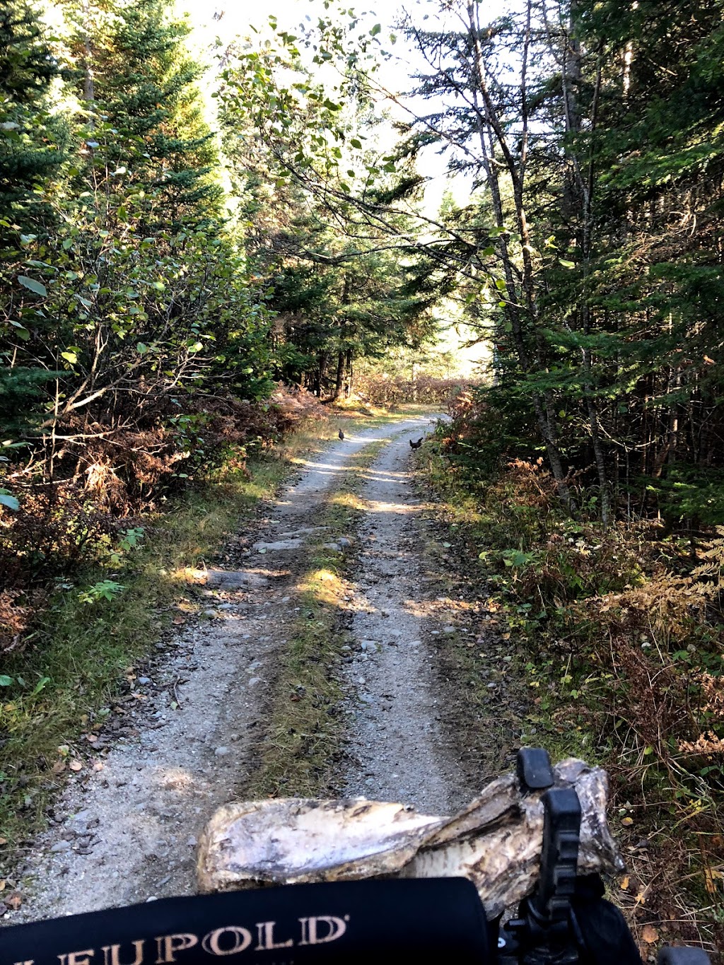 Zec Louise Gosford | 4924 4e Rang, Frontenac, QC G6B 2S1, Canada | Phone: (819) 583-4018