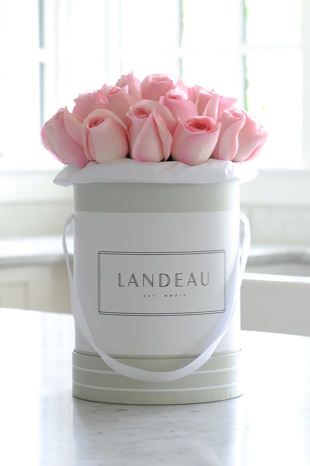 Landeau | Toronto | 559 Parliament St, Toronto, ON M4X 1P7, Canada | Phone: (778) 996-7752