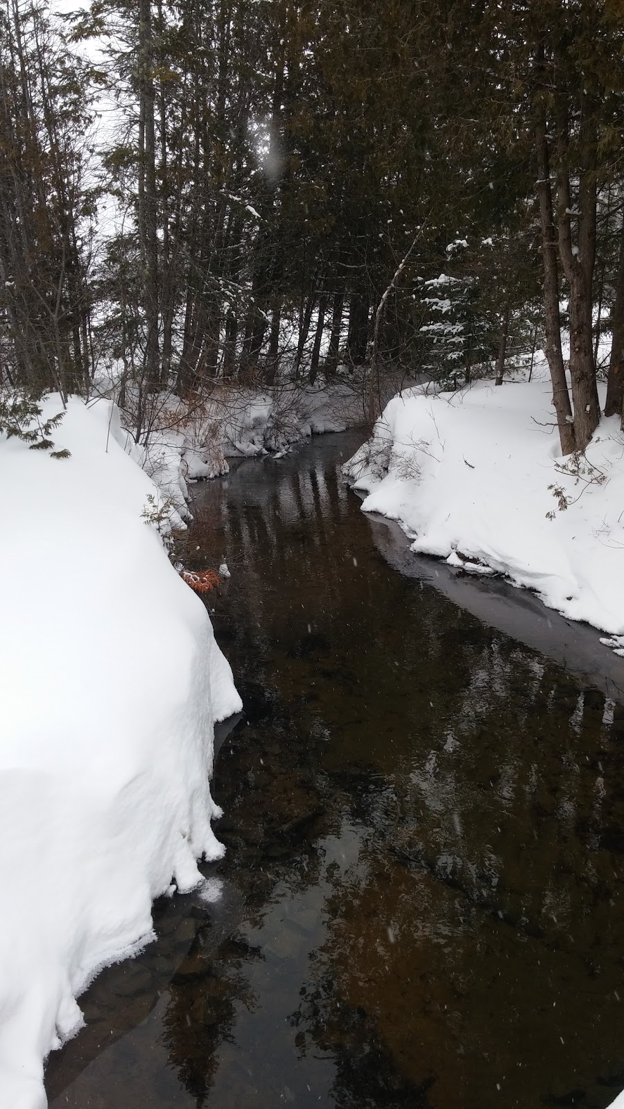Cote Nord Tremblant | 210 Chemin Des Ecorces, Lac-Supérieur, QC J0T 1P0, Canada | Phone: (888) 624-6097