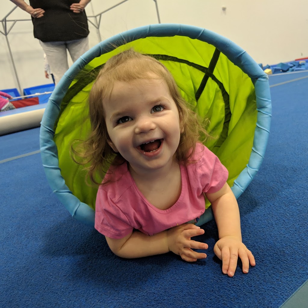 Aerials Gymnastics Club | 9 Tri Leisure Way, Spruce Grove, AB T7X 0T3, Canada | Phone: (780) 962-5350