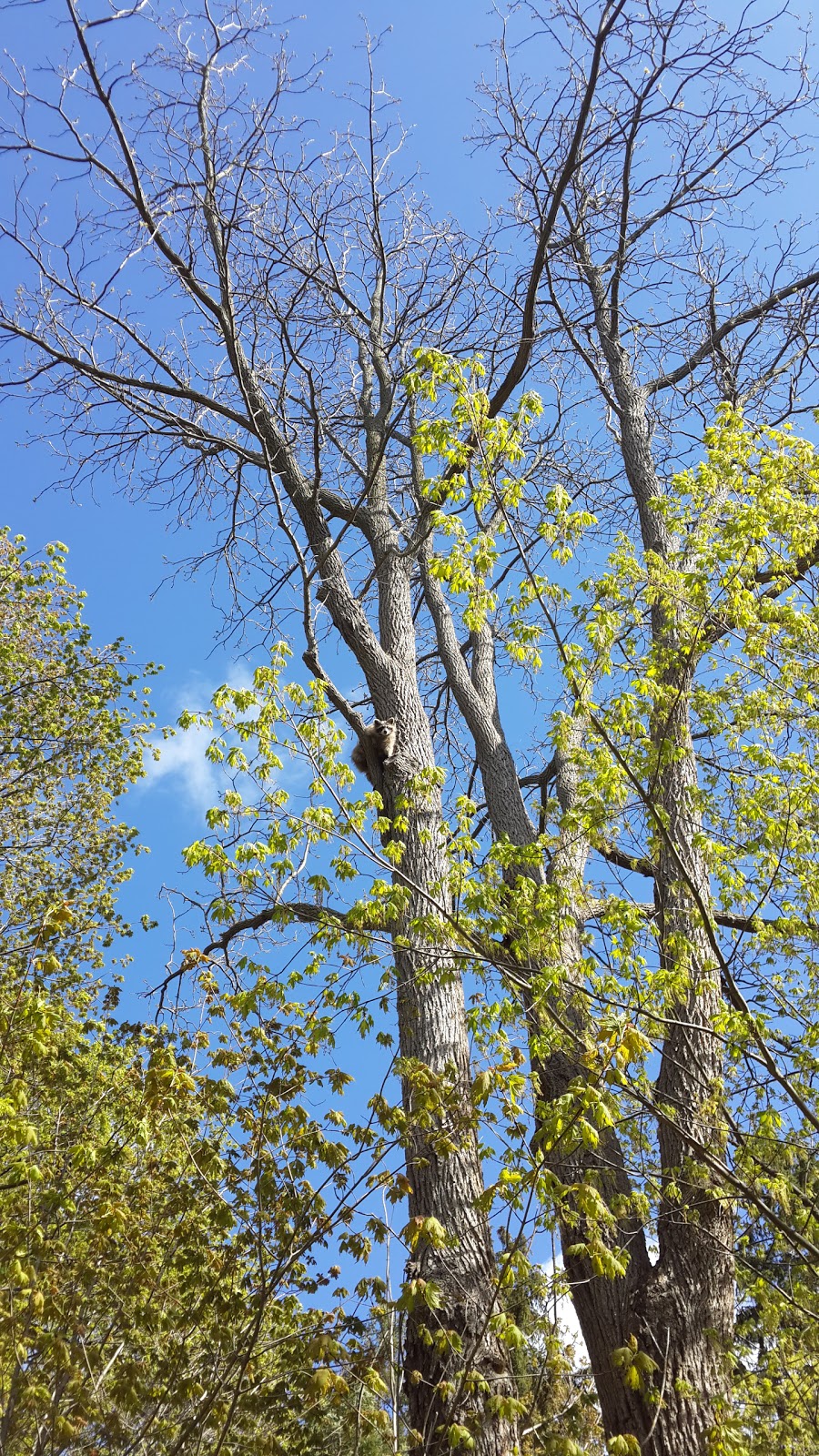 Highland Creek Parkette | 4Z3, 6115 Kingston Rd, Toronto, ON M4L 1S4, Canada | Phone: (416) 392-2489