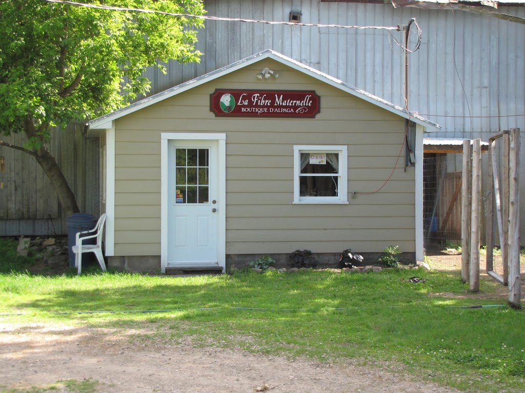 Alpagas des Hauts Vents | 856 Chemin Cowan, Havelock, QC J0S 2C0, Canada | Phone: (450) 826-1233
