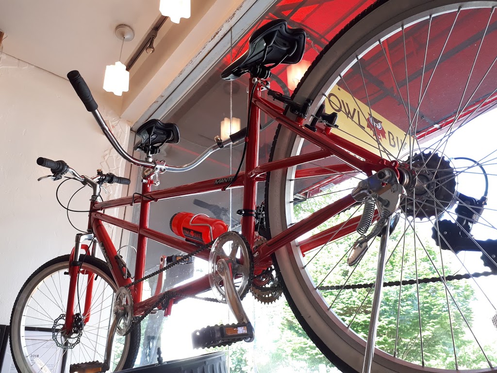 OWL BIKE Rentals | 1116 Denman St, Vancouver, BC V6G 2M8, Canada | Phone: (604) 785-6898
