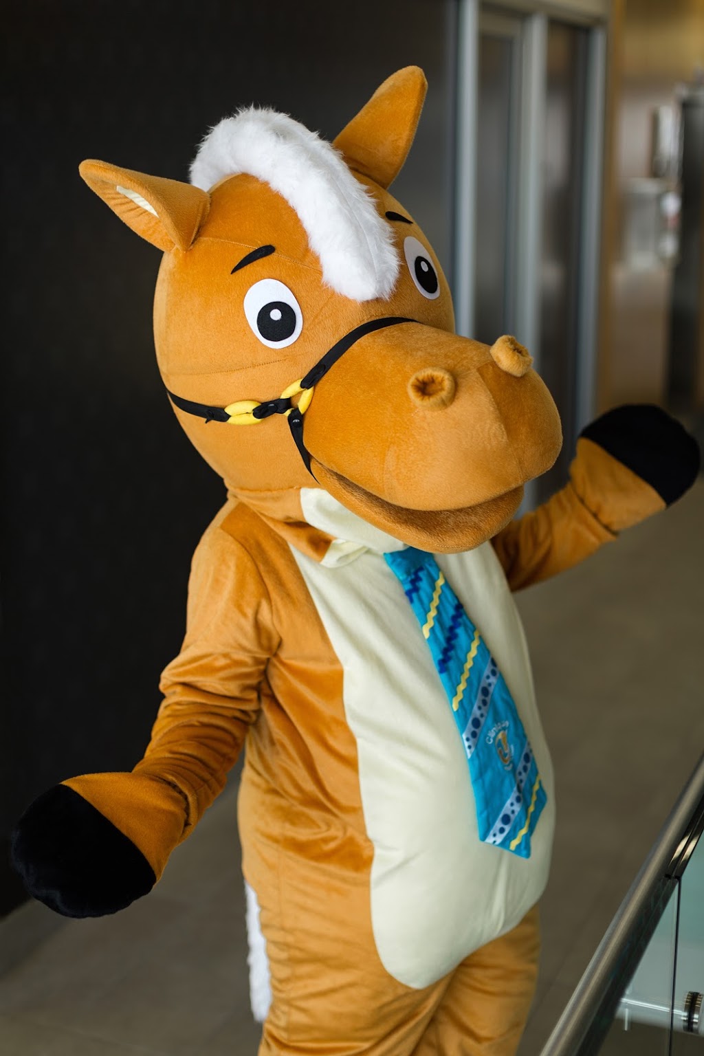 Clinical Rehabilitation Hippo-Action | 9 Rue Melville, Lévis, QC G6V 4X9, Canada | Phone: (418) 836-2555