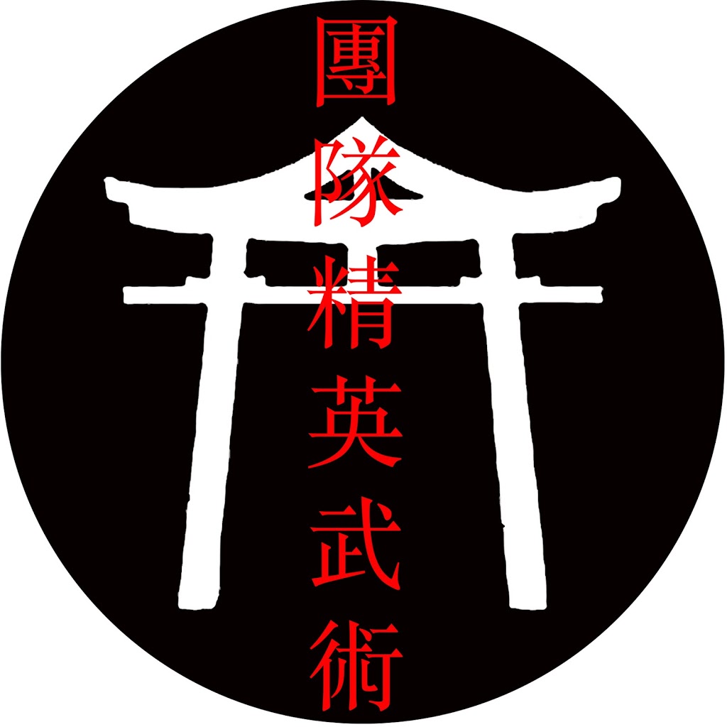 Team Elite Martial Arts | 730 Upper James St Unit 5, Hamilton, ON L9C 2Z9, Canada | Phone: (905) 818-1312