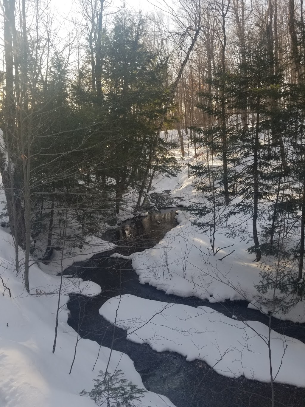 Lauriault Trail | Promenade Champlain, Chelsea, QC J9J, Canada