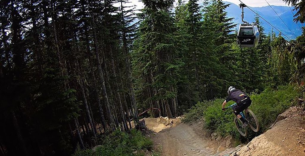 Oakwyn Realty, Whistler | 6830 Barnfield Pl, Whistler, BC V8E 0W2, Canada | Phone: (604) 902-2869