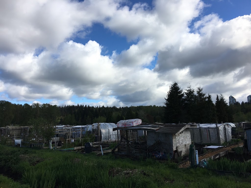 Burnaby and Region Allotment Garden | Meadow Ave, Burnaby, BC V3N 1Y6, Canada
