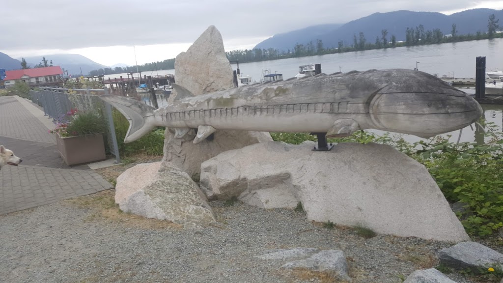 Mission Harbour Authority | 33428 Harbour Ave, Mission, BC V2V 2W4, Canada | Phone: (604) 826-4414