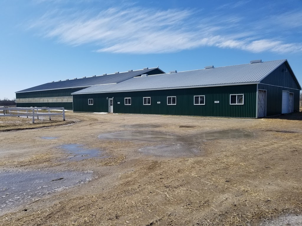 Seven Pines Stables | 1297 Eldon Rd, Kawartha Lakes, ON K0M 2M0, Canada | Phone: (705) 953-9602
