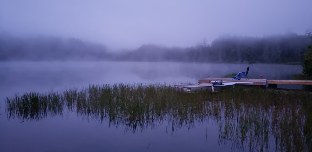 Harcourt Park Marina | 2199 Sumcot Rd, Harcourt, ON K0L 1M1, Canada | Phone: (705) 448-2888