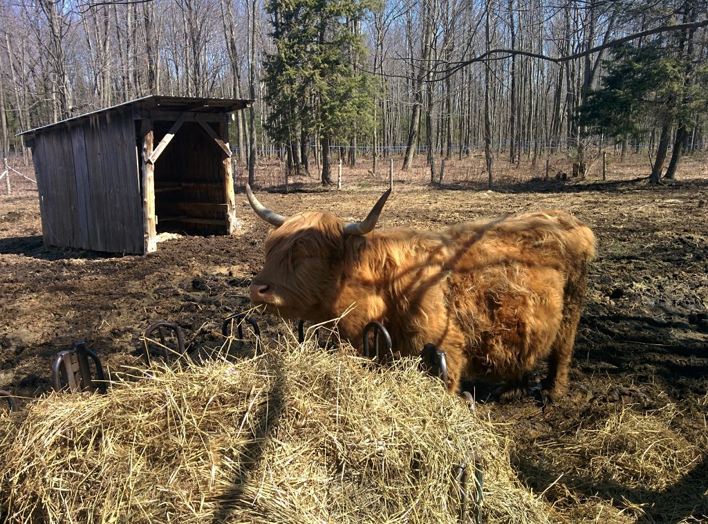 Érablière Prince | 1785 9e Rang, Saint-Wenceslas, QC G0Z 1J0, Canada | Phone: (819) 224-4222