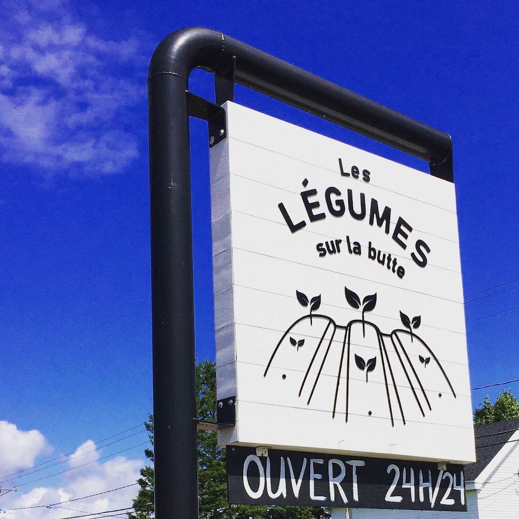 Les légumes sur la butte | 1350 Rte St Alphonse, Saint-Bruno, QC G0W 2L0, Canada | Phone: (418) 719-2207