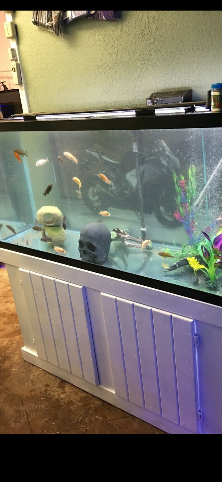 FishGuys Calgary | 12180 44 St SE Slip 10, Calgary, AB T2Z 4A2, Canada | Phone: (587) 429-3494