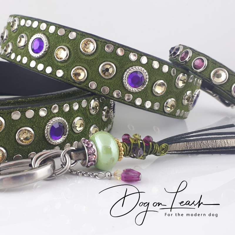 Dog On Leash | 412 Rue du Golf, Saint-Zotique, QC J0P 1Z0, Canada | Phone: (450) 267-2074