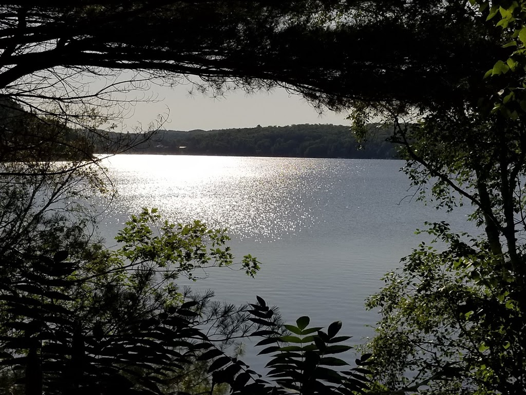 Mary Lake Marina | 105 Fitzgerald Dr, Utterson, ON P0B 1M0, Canada | Phone: (705) 789-8359