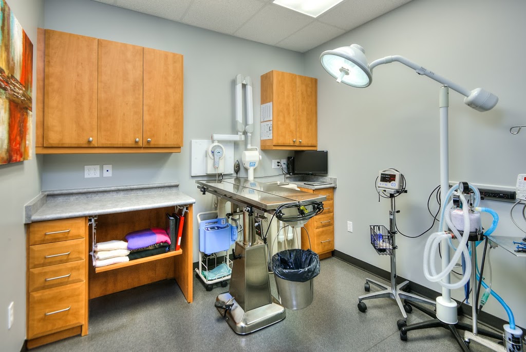 Close Veterinary Clinic | 162 McIntyre Dr, Kitchener, ON N2R 1E8, Canada | Phone: (519) 893-8937