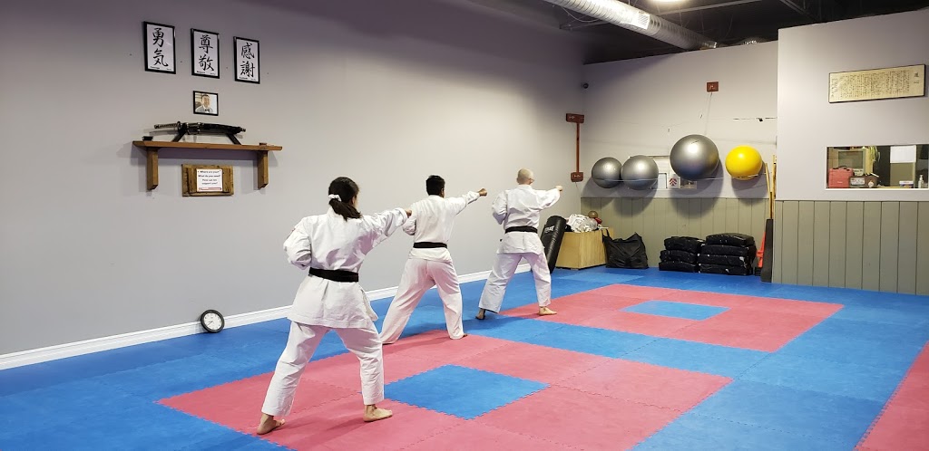 The Brampton Academy Of Martial Arts (AMA) | 13 Fisherman Dr, Brampton, ON L7A 2X9, Canada | Phone: (905) 450-9927