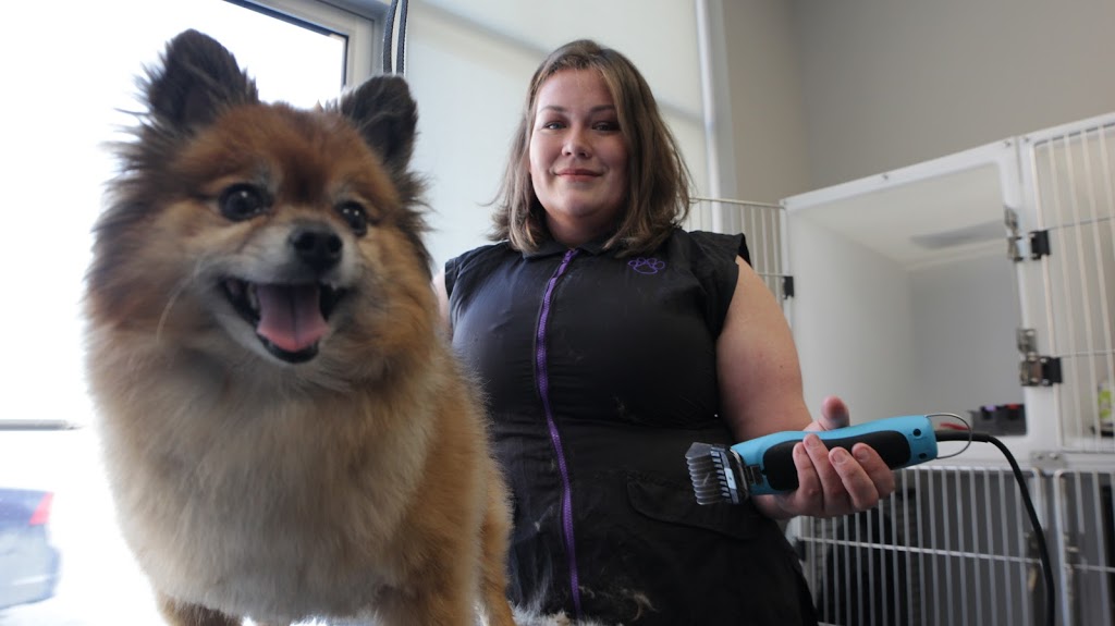 Silver Heights Veterinary Hospital | 2080 Ness Ave c103, Winnipeg, MB R3J 0Z3, Canada | Phone: (204) 504-5600