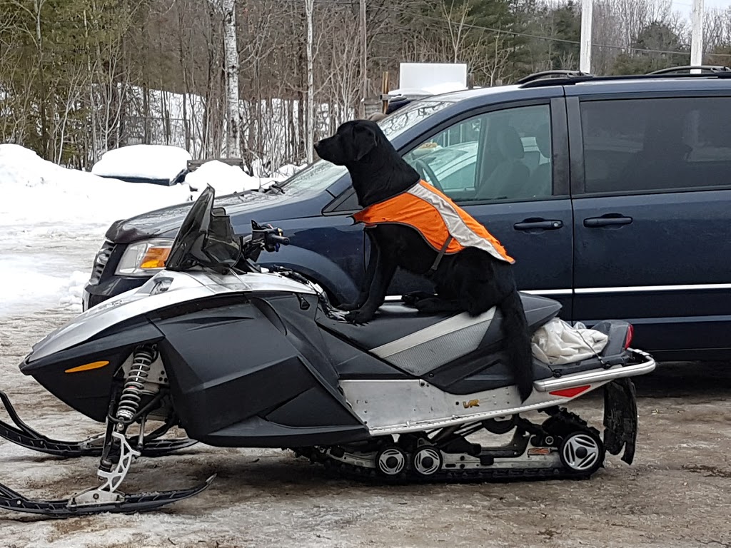 Wahta Station | 2195 Muskoka District Road 38, Bala, ON P0C 1A0, Canada | Phone: (705) 762-2195