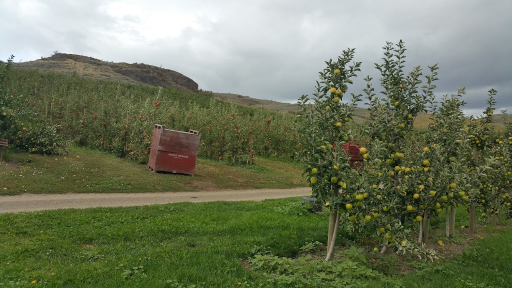 Bella Vista Farm Market | 5011 Bella Vista Rd, Vernon, BC V1H 1A1, Canada | Phone: (250) 545-0105