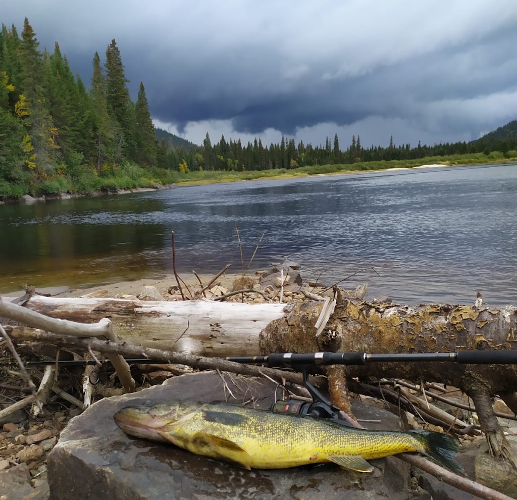 Pourvoirie Damville | LAC DAMVILLE, Saint-Thomas-Didyme, QC G0W 1P0, Canada | Phone: (418) 274-2511