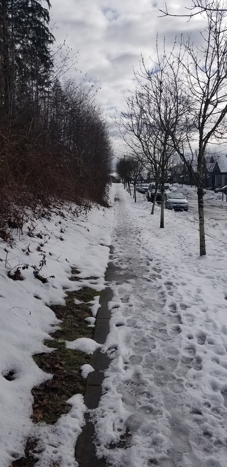 Port Coquitlam Dyke Trail Head | Unnamed Road, Coquitlam, BC V3E, Canada