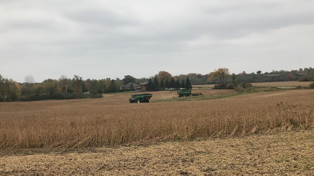 KGC FARMS | 7723 Wellington Rd 124, Guelph, ON N1H 2R8, Canada | Phone: (647) 564-6453