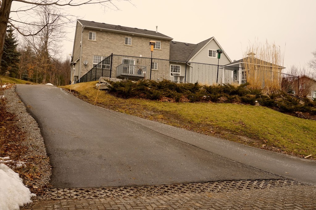 Survival Of The FITT | 1841 Forest Valley Dr, Innisfil, ON L9S 4A4, Canada | Phone: (416) 836-6594