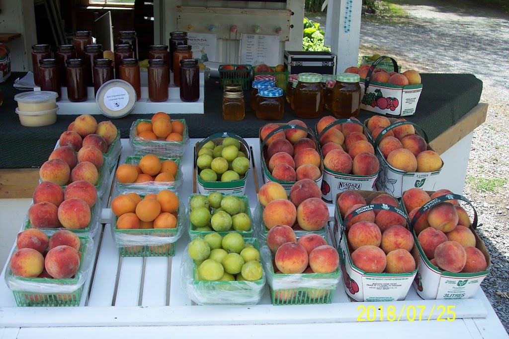 Fruit-Stand-on-Mountain | 6680 Mountain Rd, Niagara Falls, ON L2J 0B5, Canada | Phone: (905) 374-6342