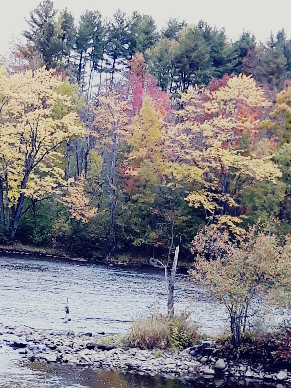 Parc du Barrage | 3268-3266 Rue Galt O, Sherbrooke, QC J1K 3B9, Canada