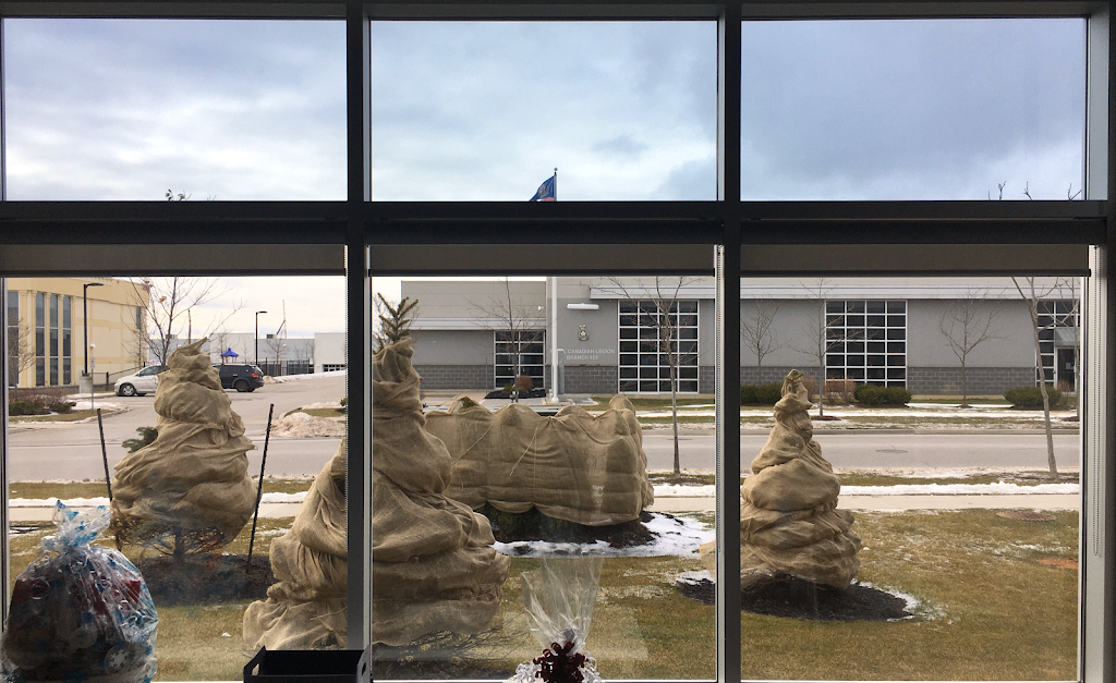 IP Window Films LTD - Ontario, Toronto, Canadá | 555 Wilson Ave Unit 305, Toronto, ON M3H 0C5, Canada | Phone: (647) 995-1425