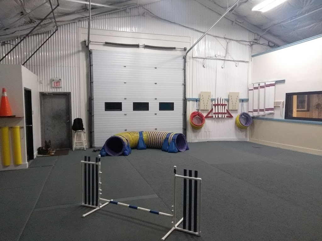 Nova Dogsport | 31 Weavers Lake Dr, Harrietsfield, NS B3V 1A4, Canada | Phone: (902) 402-4127