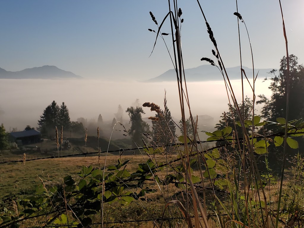 Stattonrock Design + Build | 4401 Glenmore Rd, Abbotsford, BC V2X 1X5, Canada | Phone: (604) 624-0100