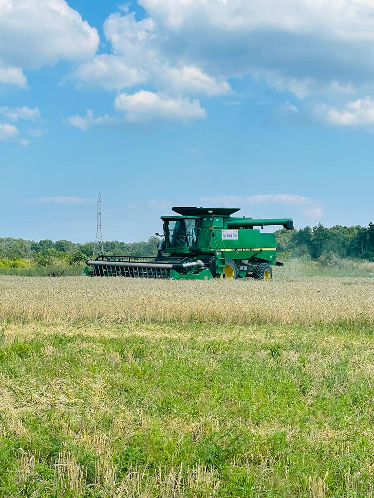 Gur Nanak Farms | 151 Gagne Rd, Prince Edward, ON K0K 2T0, Canada | Phone: (416) 402-9595