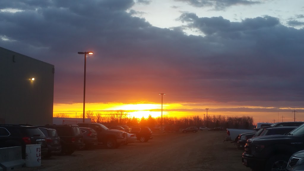 HyLife Neepawa | 623 Main St E, Neepawa, MB R0J 1H0, Canada | Phone: (204) 476-3393