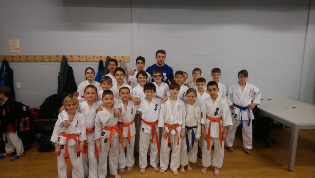 KRASTEV KYOKUSHIN KARATE ACADEMY - TORONTO, ON, CANADA | 1083 Pape Ave, East York, ON M4K 3W7, Canada | Phone: (416) 993-8538