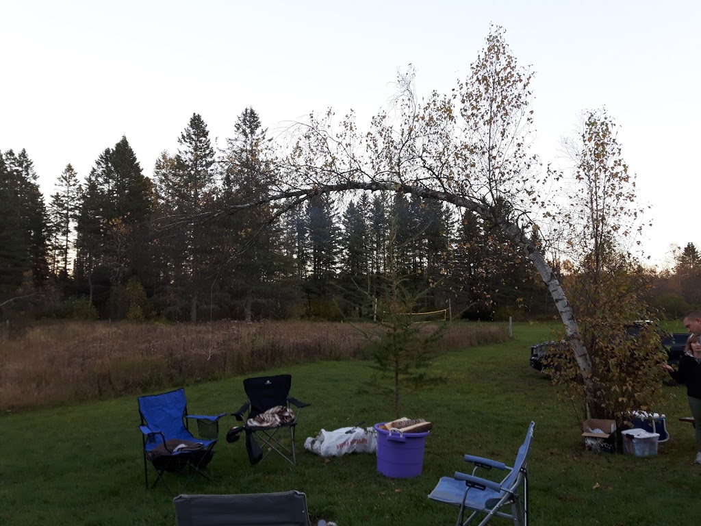 Camping Nicolet River | 6 1re Av, Wotton, QC J0A 1N0, Canada | Phone: (819) 828-0108