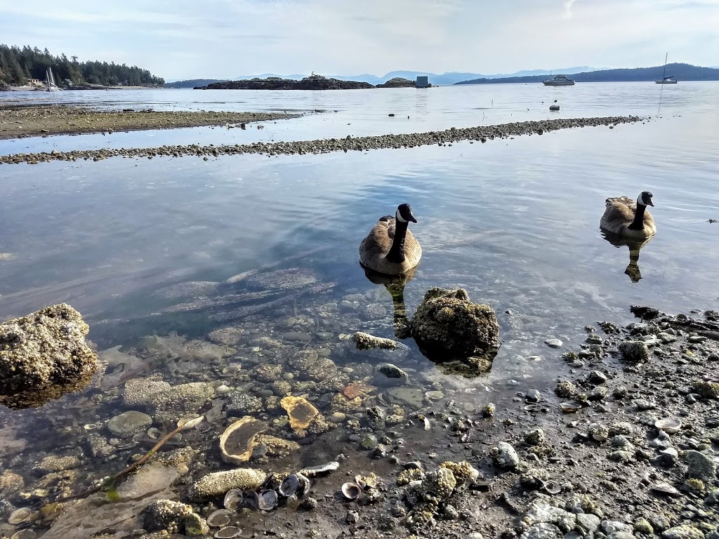 Halfmoon Bay General Store | 5642 Mintie Rd, Halfmoon Bay, BC V0N 1Y2, Canada | Phone: (604) 885-8555