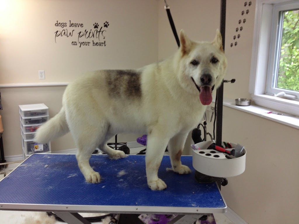 Four Muddy Paws Grooming | 1575 NS-325, Chelsea, NS B4V 7L6, Canada | Phone: (902) 685-3374