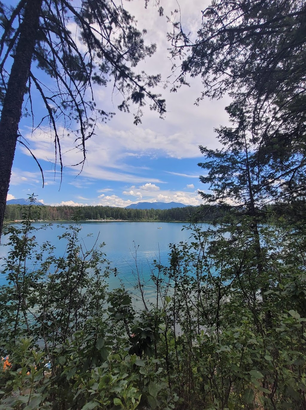 Out N Aboat/Turtle Haven Rentals | East Kootenay B, BC, Baynes Lake, BC V0B 1T4, Canada | Phone: (250) 946-5395