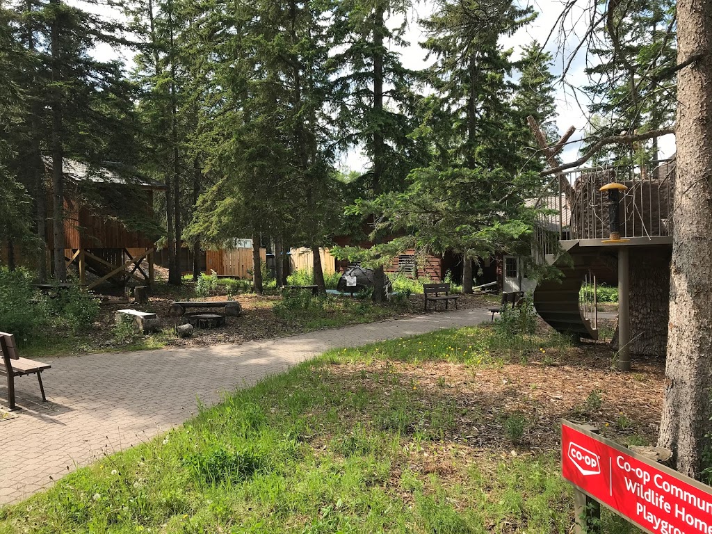 Medicine River Wildlife Centre | Box 115, Spruce View, AB T0M 1V0, Canada | Phone: (403) 728-3467