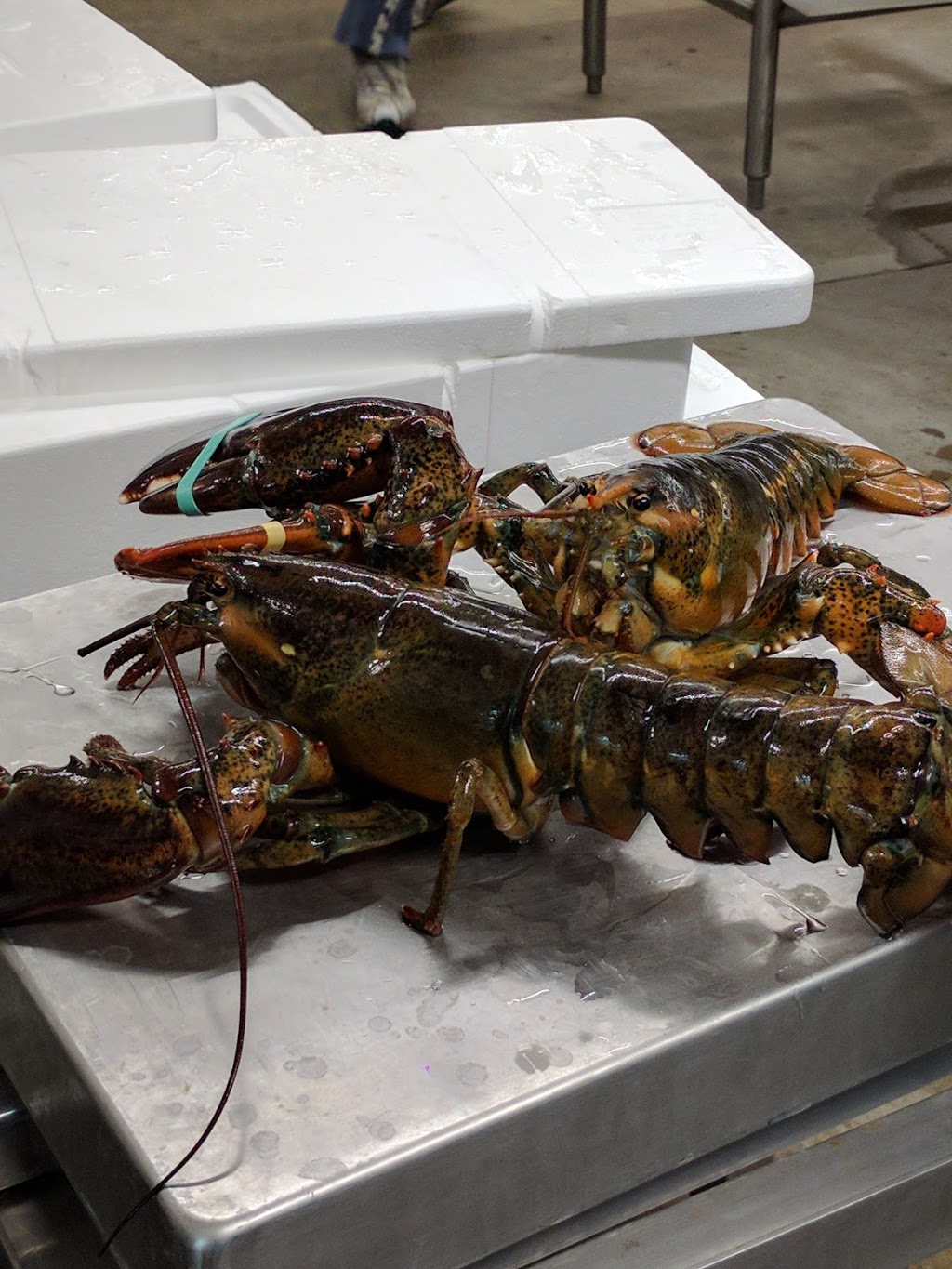 Seafood Depot Inc. | 81 Aviva Park Dr, Woodbridge, ON L4L 9C1, Canada | Phone: (905) 856-2770