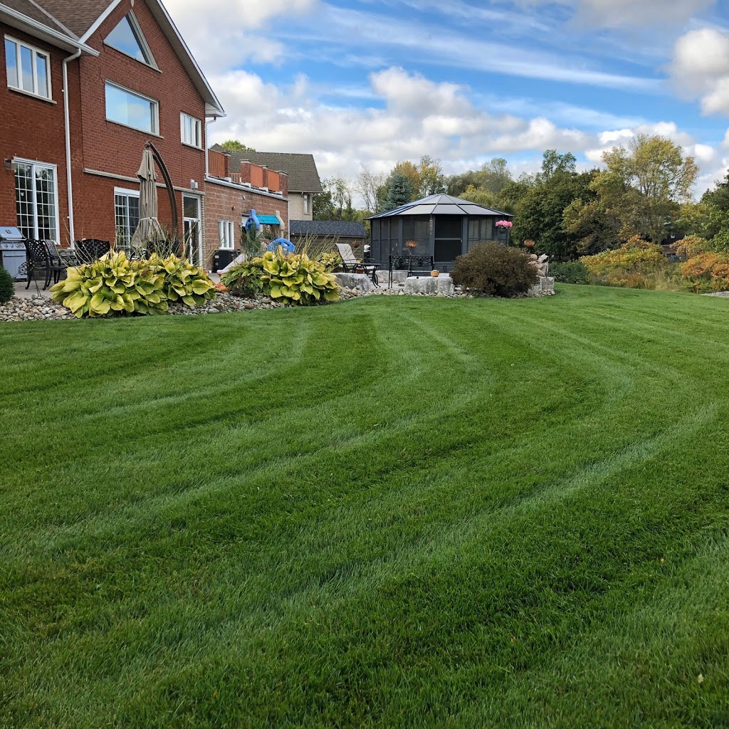 Bobala Lawn Care | 25 Mills Ct, Bradford, ON L3Z 2Y2, Canada | Phone: (289) 763-3434