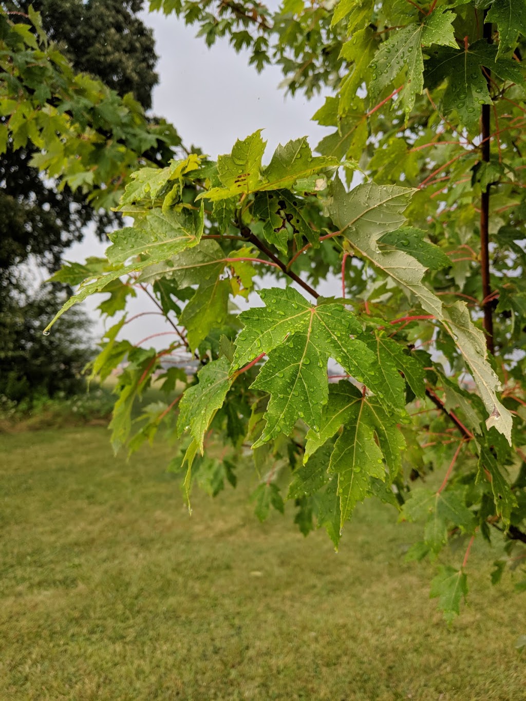 Lambeth Optimist Park | 4200 Campbell St N, London, ON N6P 1S7, Canada
